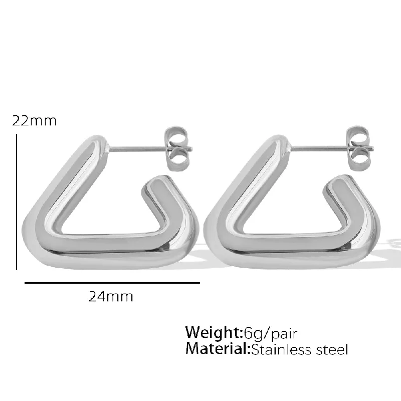 Eh253 Silver Earrings