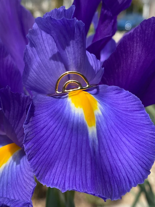 ladies rings with purple amethyst -Weekend in London: 14K Gold Filled Double Rainbow Arch stacking Ring